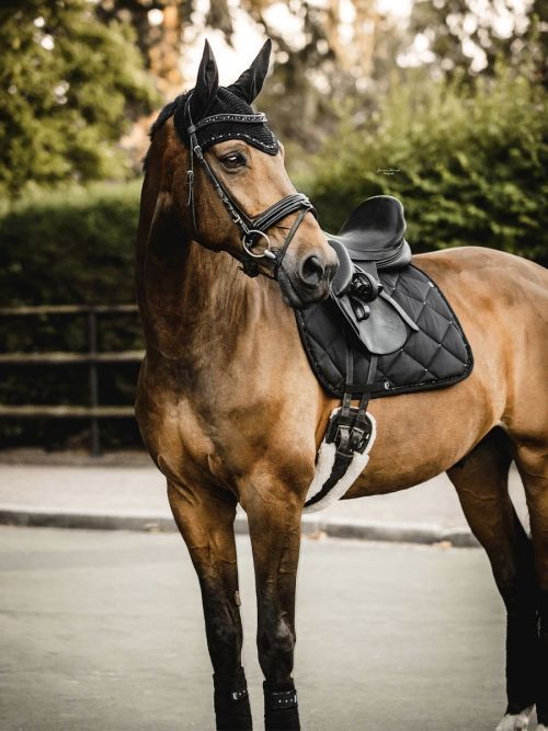 fliegenhaube-pferd-fliegenmuetze-schwarz-cs_small