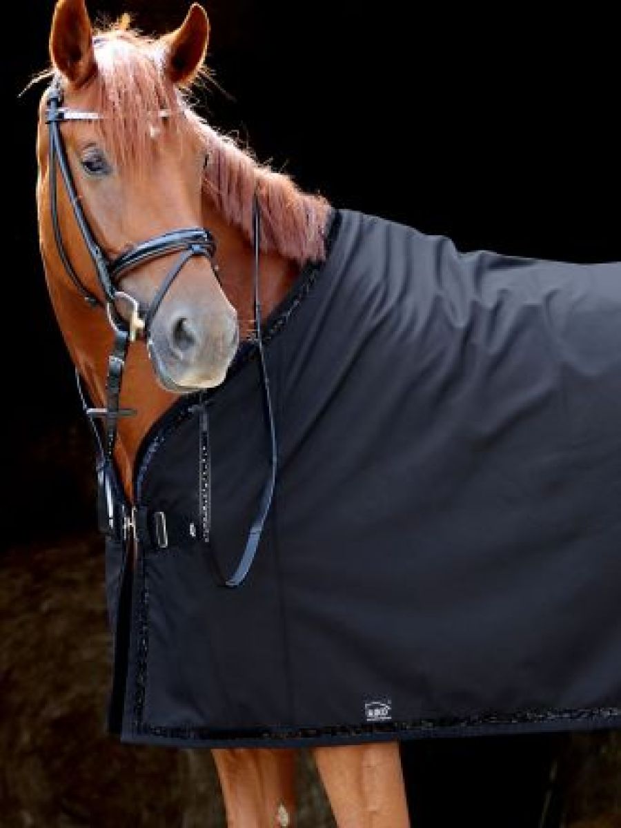 abschwitzdecke-softshell-shine-schwarz1_small