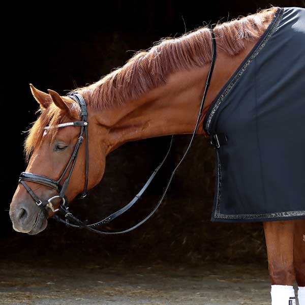 Pferdedecke Softshell